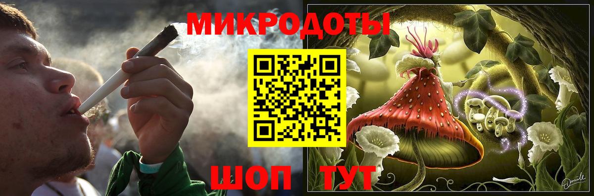 Псилоцибиновые грибы Psilocybe Ейск